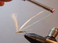 Pheasant Tail Mayfly Parachute