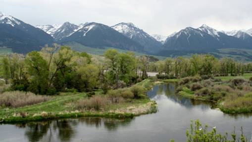 depuy spring creek