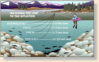 Special Purpose Lines