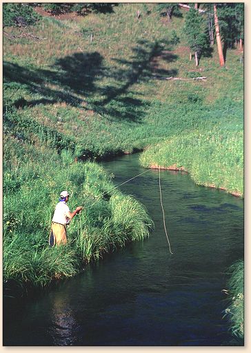 Dr. Ryan on Castle Creek