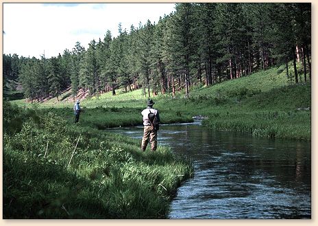Castle Creek Afternoon