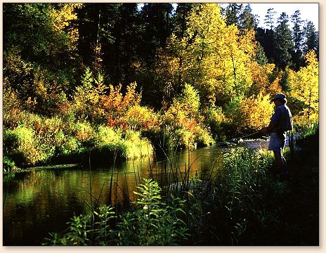 Autumn on Spring Creek