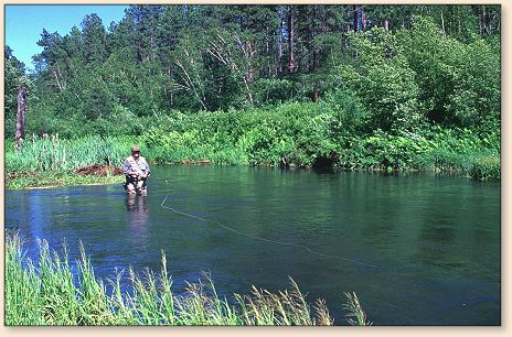 Summer Fishing in Spring Creek