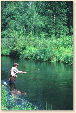 Summer on Spring Creek
