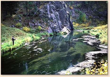 Autumn on Spring Creek