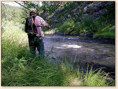 Paul Dieter on Rapid Creek