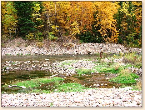 Autumn Colors