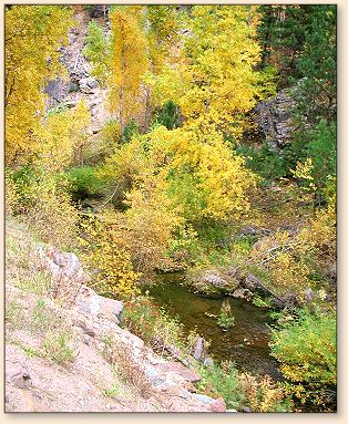 Little Spearfish