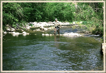Elk Creek