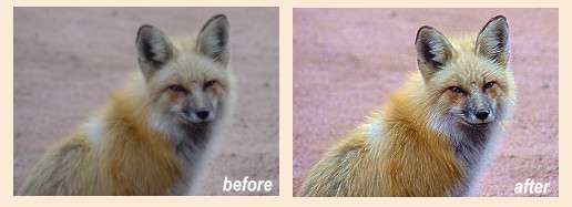 left before, right after