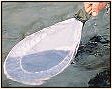 Quick Seine