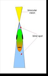 Bob Boese - Flyanglers Online - March 15, 2010