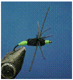 Text Box:  