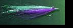 Hooked fish mortality - Bob Boese