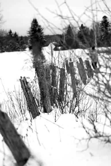 Our Man in Canada - Flyanglersonline.com - March 1, 2010