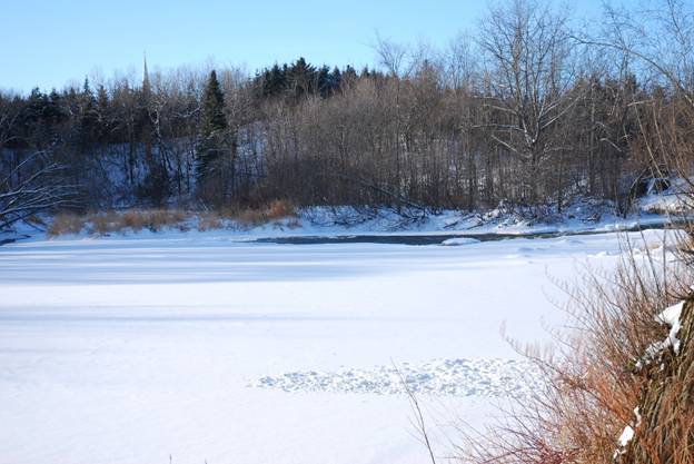 Our Man in Canada - Flyanglers Online - March 29, 2010