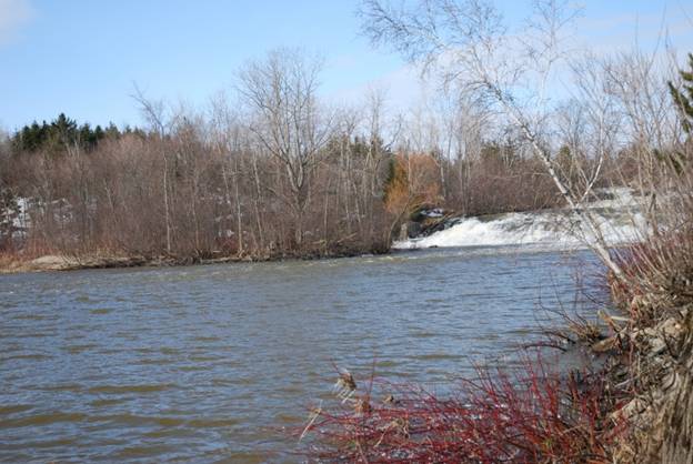 Our Man in Canada - Flyanglers Online - March 29, 2010