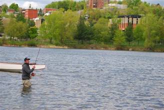 Our man in canada - Chris Chin - May 31, 2010