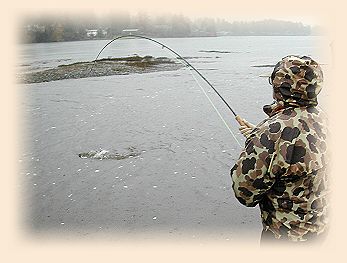 LadyFisher, Fish On