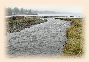 Chico Creek