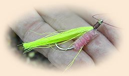 Castwell's Chum Fly
