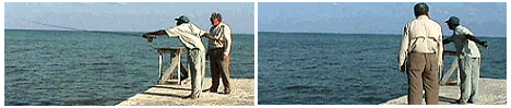 Simon teaching