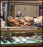 Reel Display