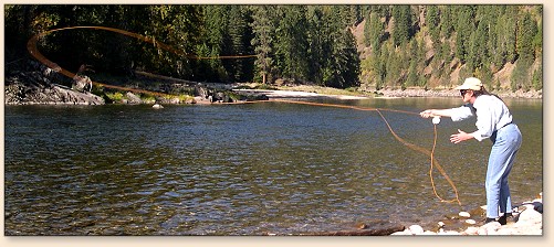 LF casting on the Selway
