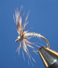 Eye of the Guide - April 12, 2010 - Flyanglerso Online