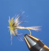 Eye of the Guide - April 12, 2010 - Flyanglerso Online