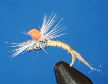 Eye of the Guide - Flyanglers Online - April 19, 2010