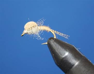 Eye of the Guide - Flyanglers Online - April 19, 2010