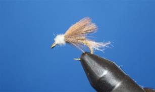 Eye of the Guide - Flyanglers Online - April 19, 2010