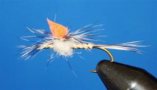 Eye of the Guide - Flyanglers Online - April 19, 2010