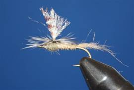 Eye of the Guide - Flyanglers Online - April 19, 2010