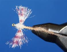 Eye of the Guide - Flyanglers Online - April 19, 2010