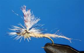 Eye of the Guide - Flyanglers Online - April 19, 2010