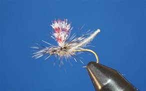 Eye of the Guide - Flyanglers Online - April 19, 2010