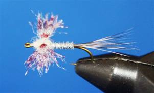 Eye of the Guide - Flyanglers Online - April 19, 2010