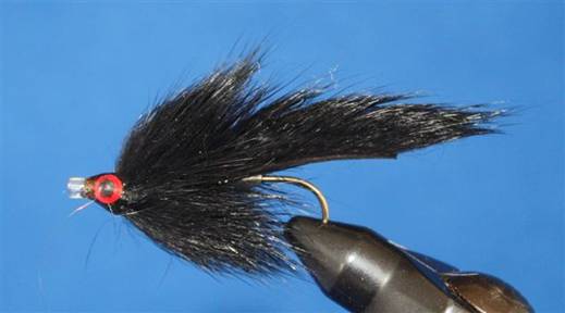 Eye of the Guide - Squirrelly tube flies - May 10, 2010
