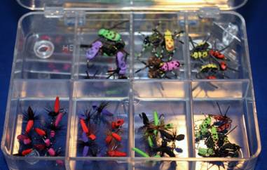 A Collection of WB Ants & Happy Bugs