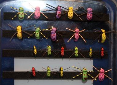 A Happy Bug Collection