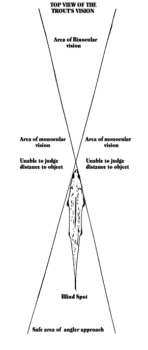 Eye of the Guide - August 9, 2010