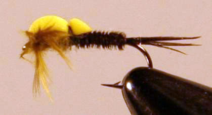 Eye of the guide - Foam Strike Indicators - Nov 11, 2010