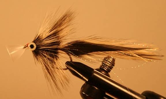 flies beyond the normal - EOTG - Feb 14 2011