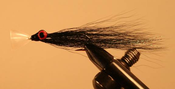 flies beyond the normal - EOTG - Feb 14 2011