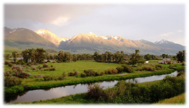 Evenings along the stream