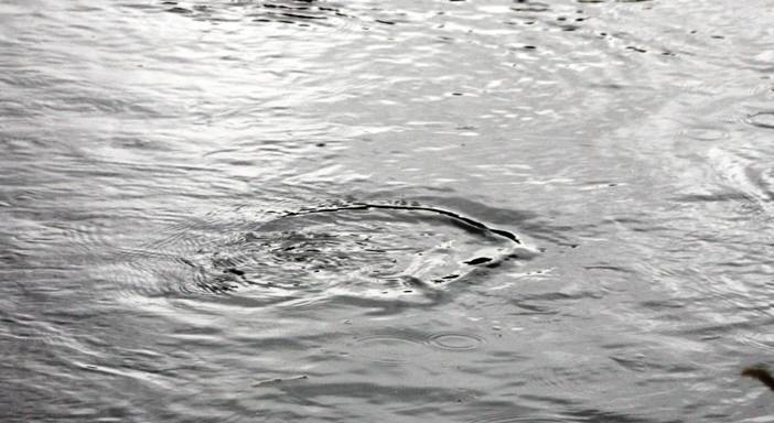 Eye of the guide