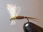 Late & early season fishing at depuys