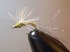 Late & early season fishing at depuys